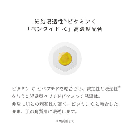 【EVERYSKIN Pro+】ビタミントナー